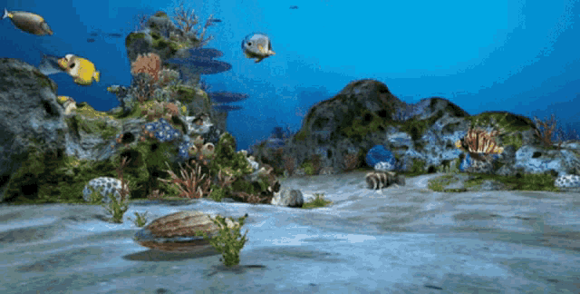 Aqurio